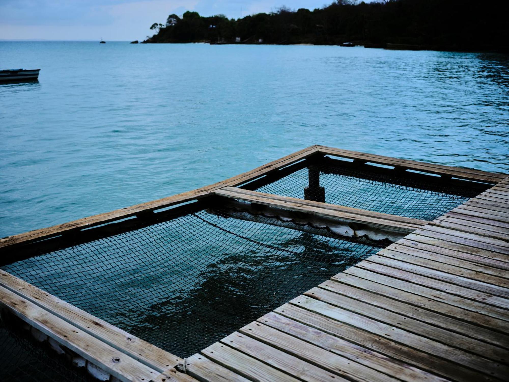 Isla Fuerte Eco House Villa Puerto Limon Kültér fotó